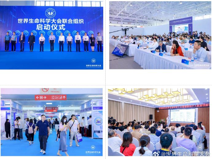 006aWQQEgy1hft9msnuxmj30wt0om1kx.jpg 006aWQQEgy1hft9msnuxmj30wt0om1kx.jpg