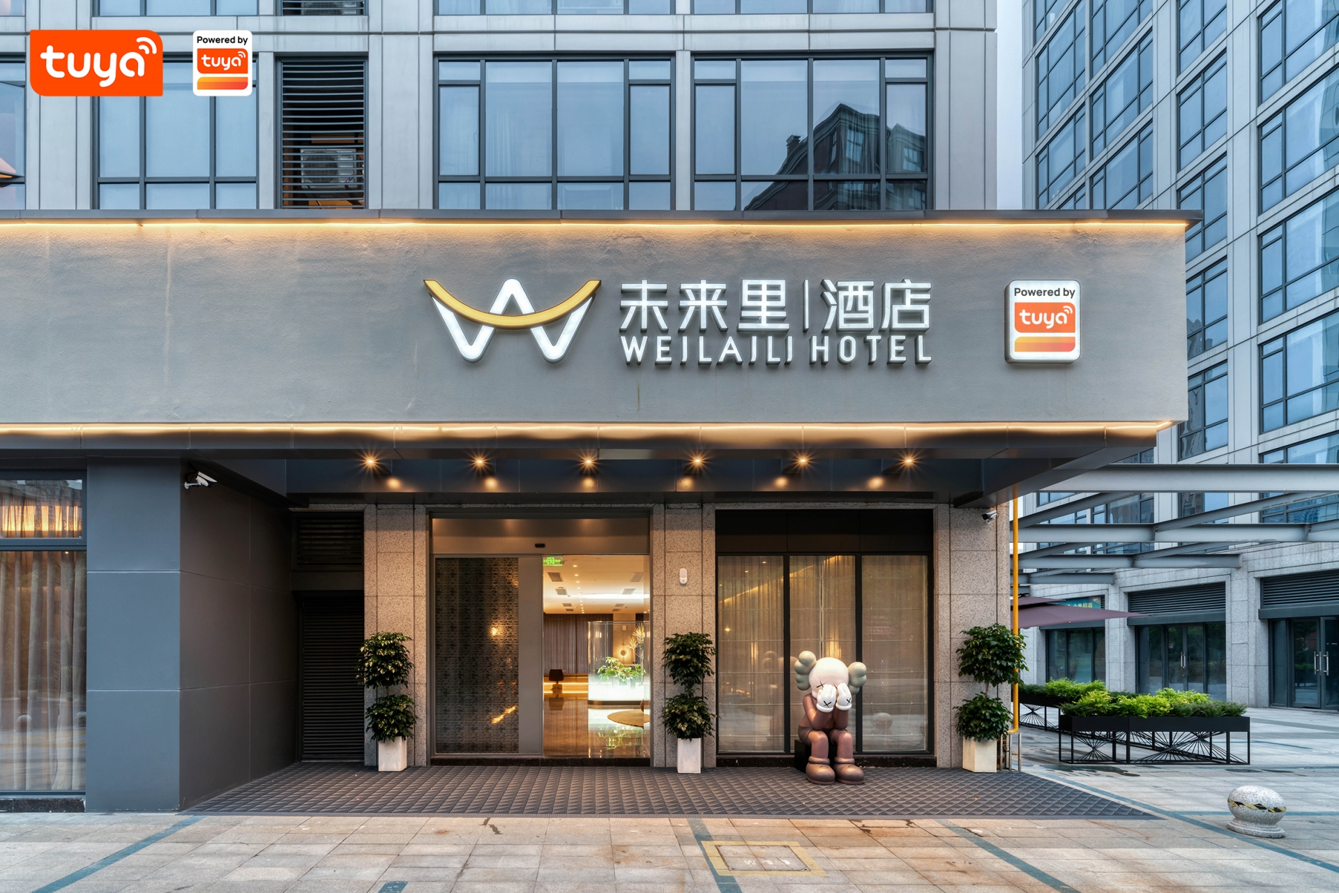 9011cf47-2054-495e-ba41-f020b7e157aa (2).jpeg