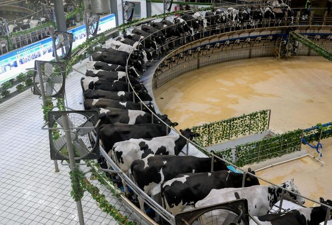 微信截图_20241011135234.png 微信截图_20241011135234.png